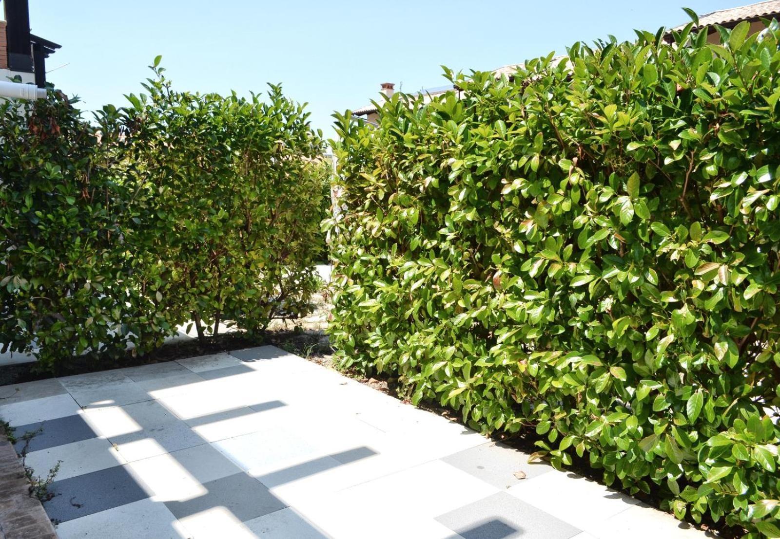 Le Case Del Carmine Con Giardino E Parcheggio A Тропея Экстерьер фото