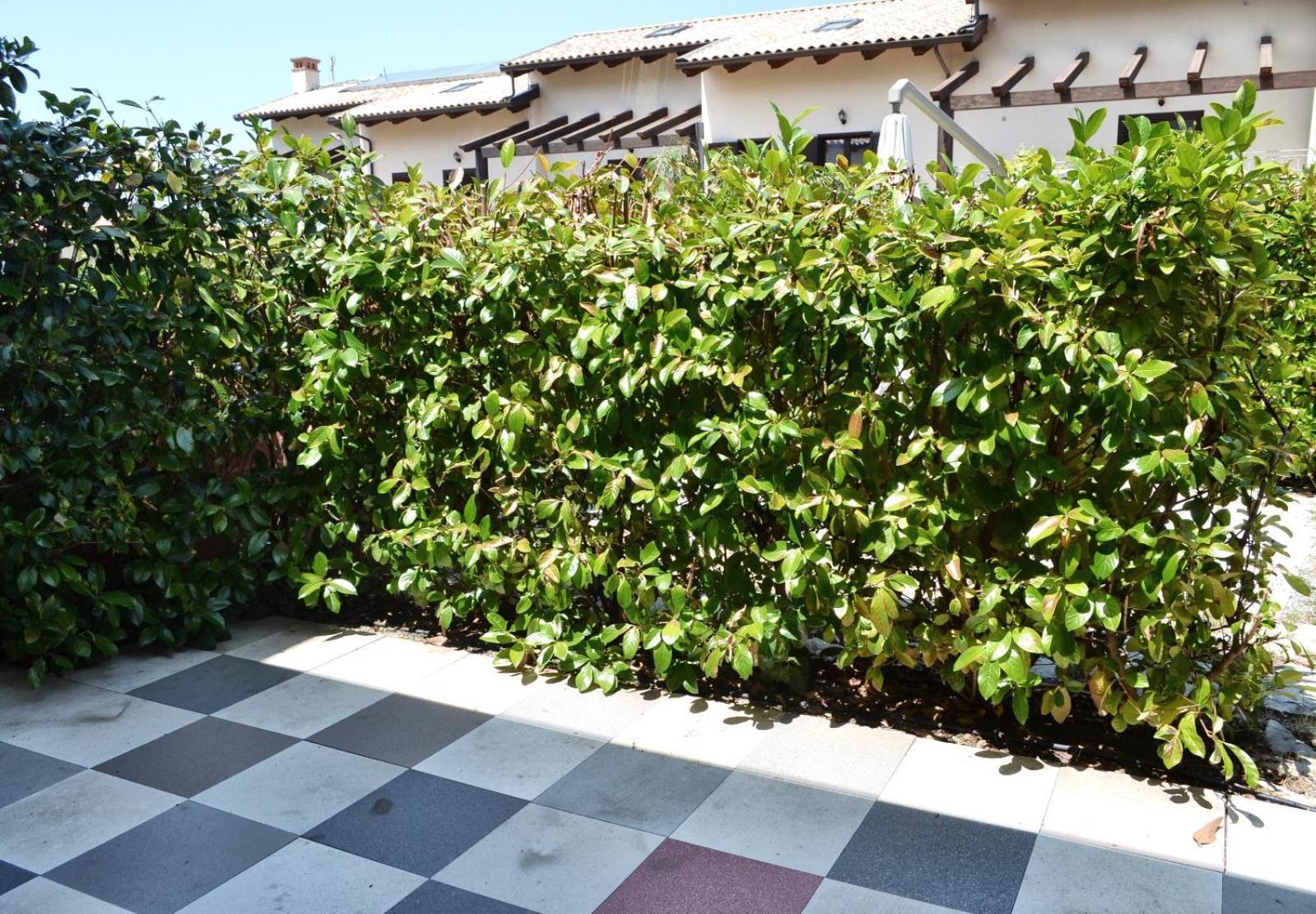 Le Case Del Carmine Con Giardino E Parcheggio A Тропея Экстерьер фото